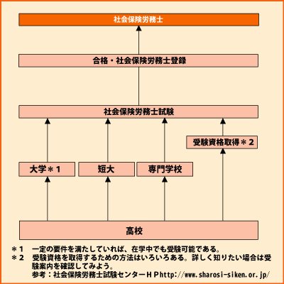 社会保険労務士 グラフ