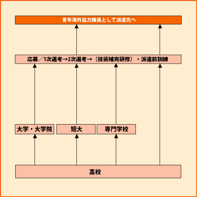 青年海外協力隊 グラフ