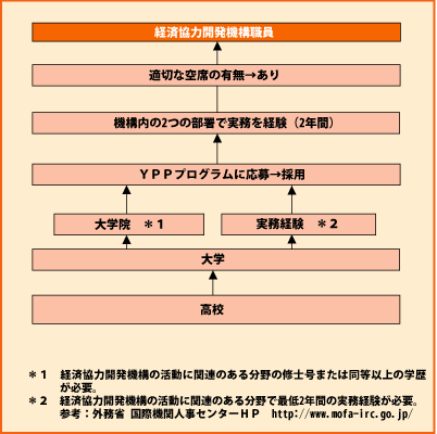 経済協力開発機構職員 グラフ