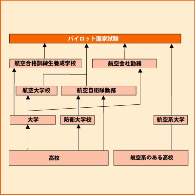 パイロット グラフ