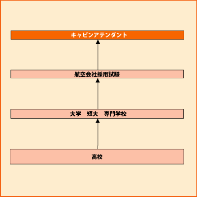 キャビンアテンダント グラフ