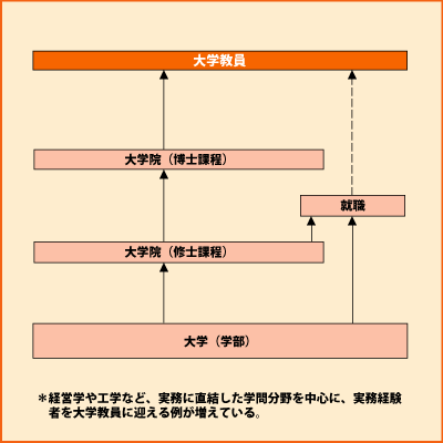 大学教授・講師 グラフ