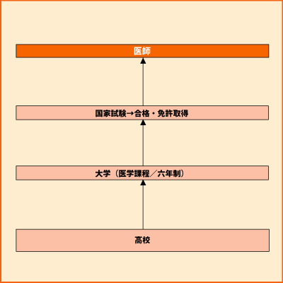 医師 グラフ