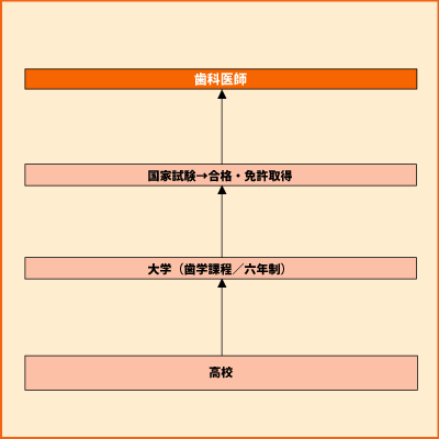 歯科医師 グラフ