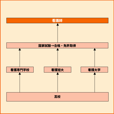 看護師 グラフ