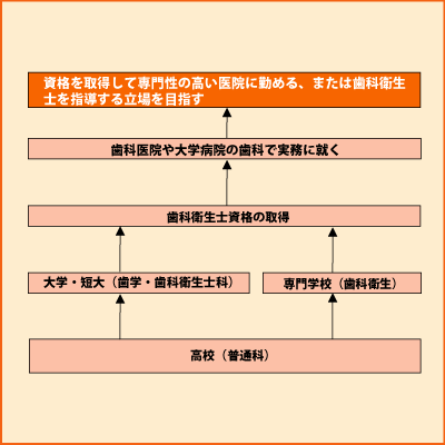 歯科衛生士 グラフ