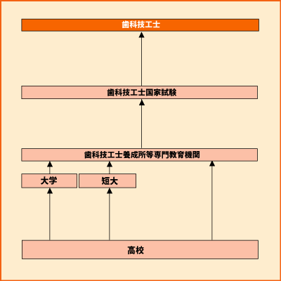 歯科技工士 グラフ