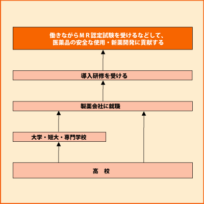 MR（医薬情報担当者）  グラフ