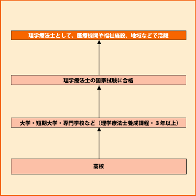 理学療法士 グラフ