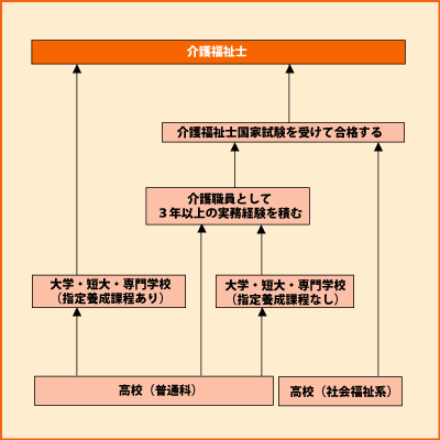 介護福祉士 グラフ