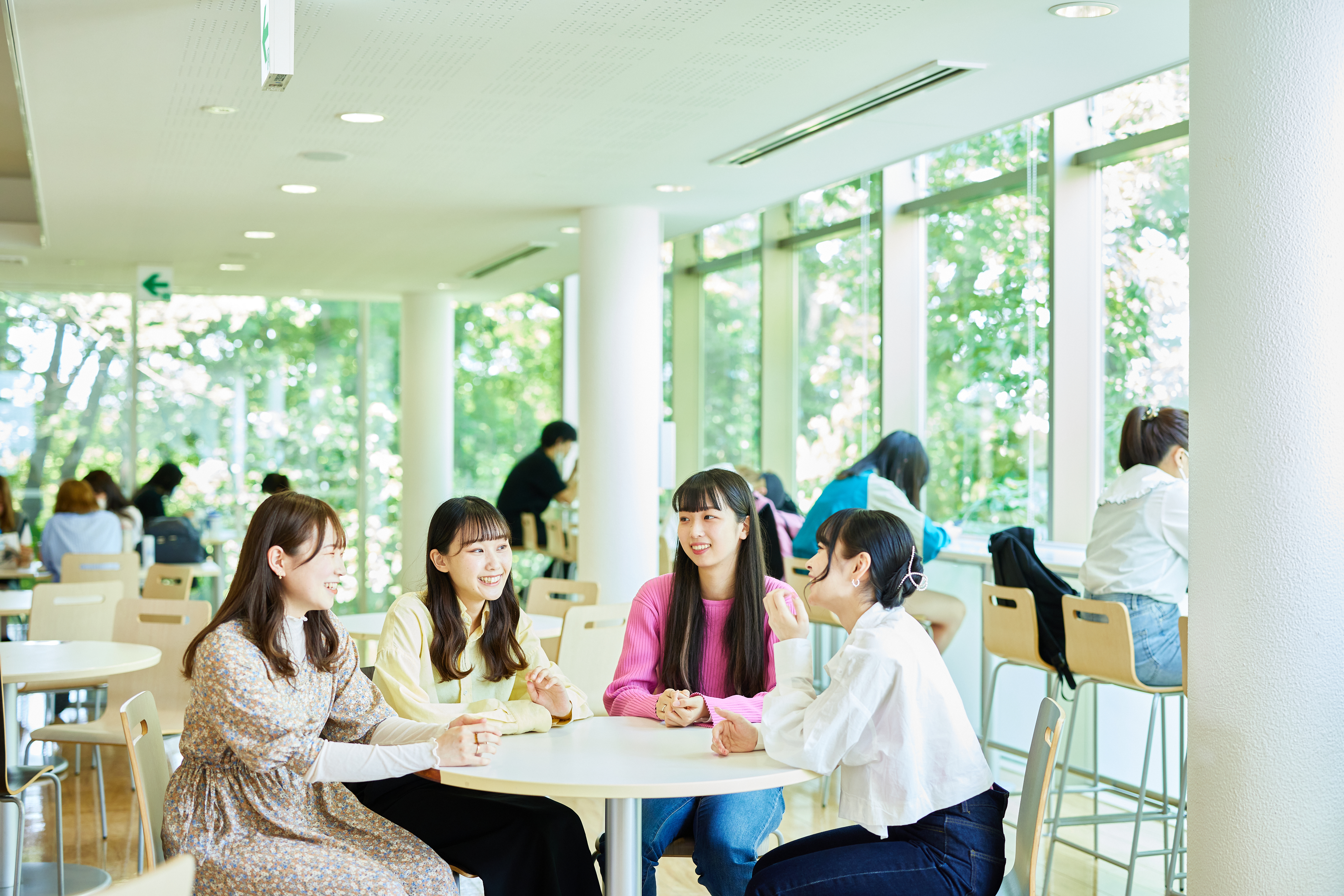 目白大学