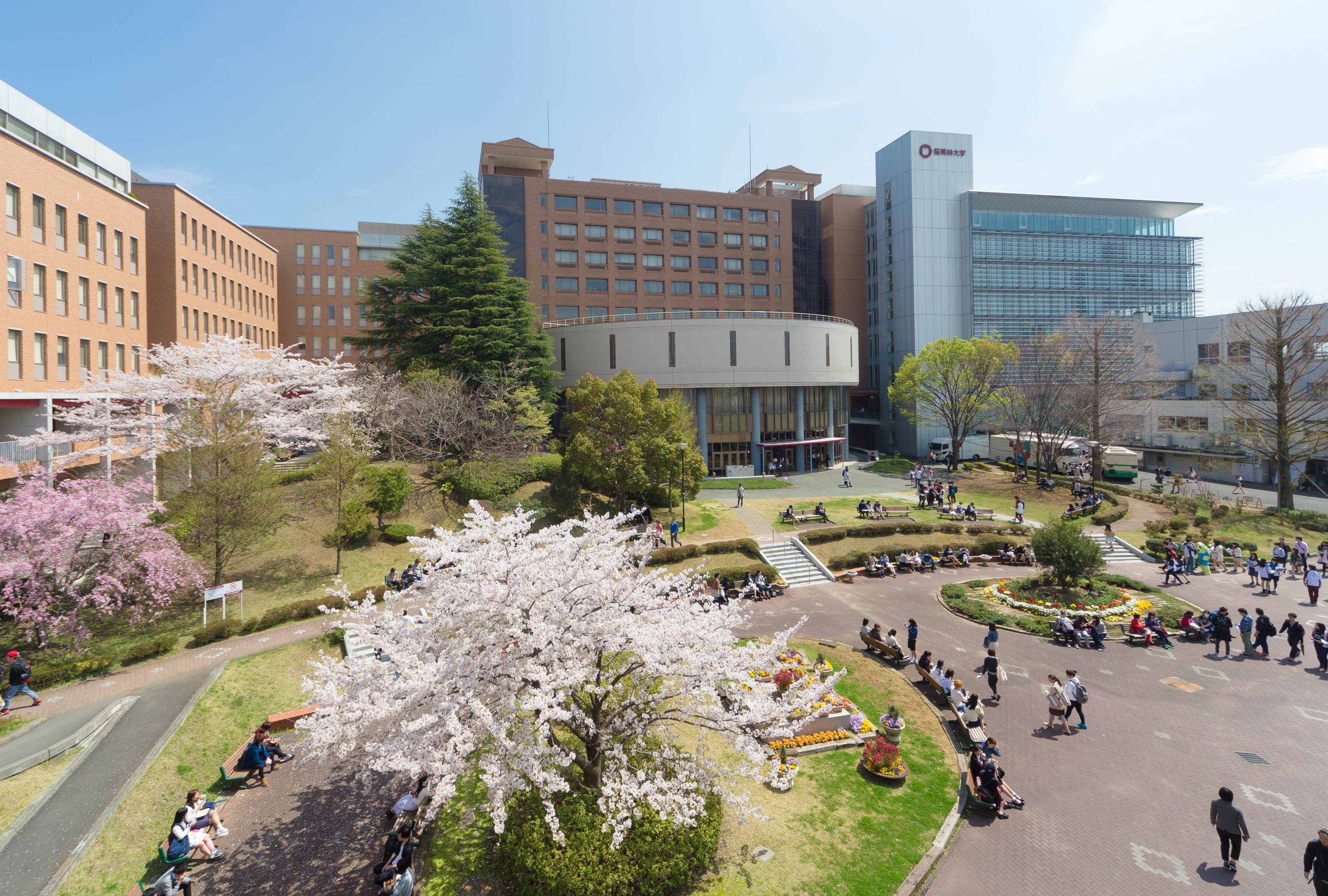 桜美林大学