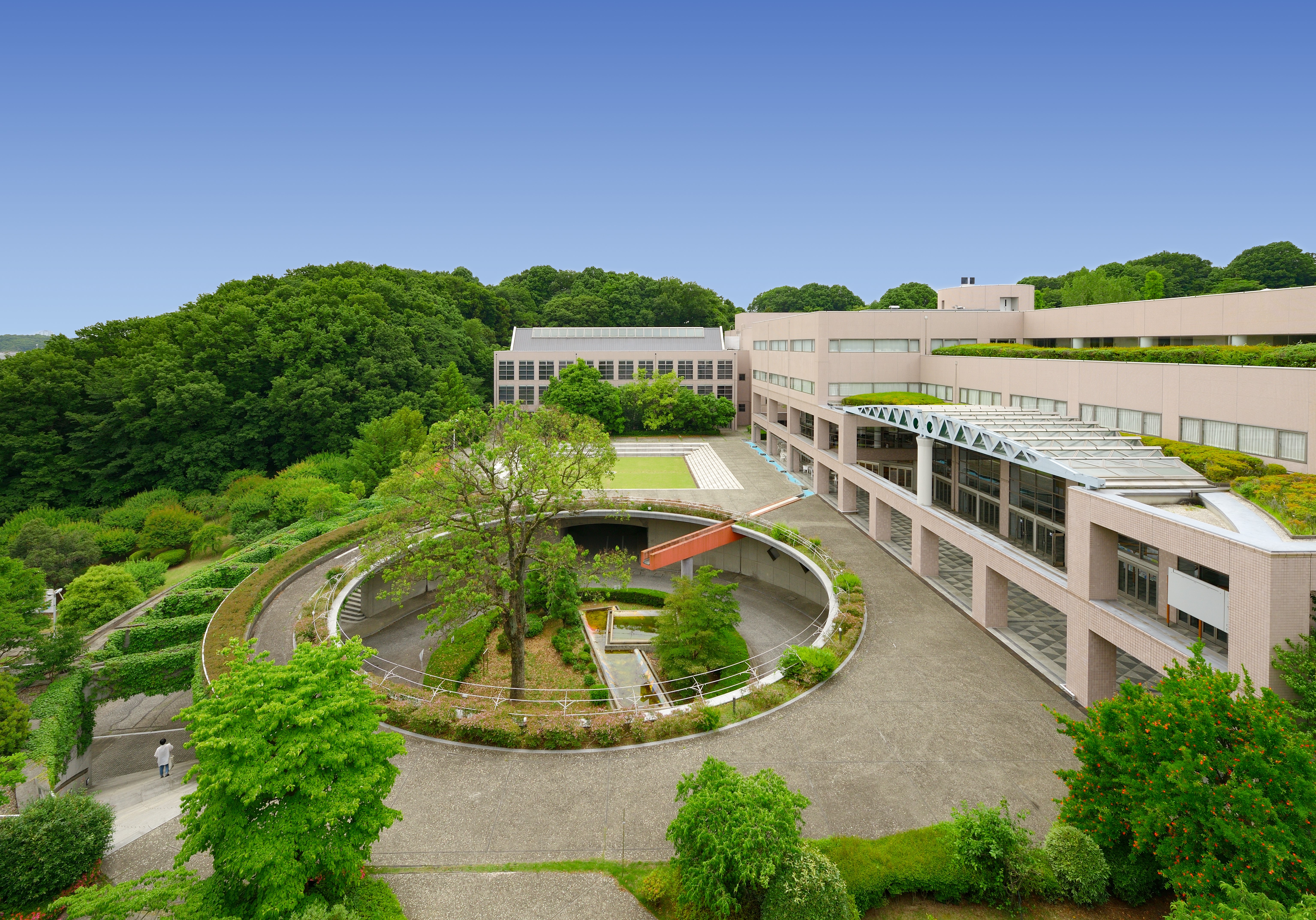 昭和薬科大学