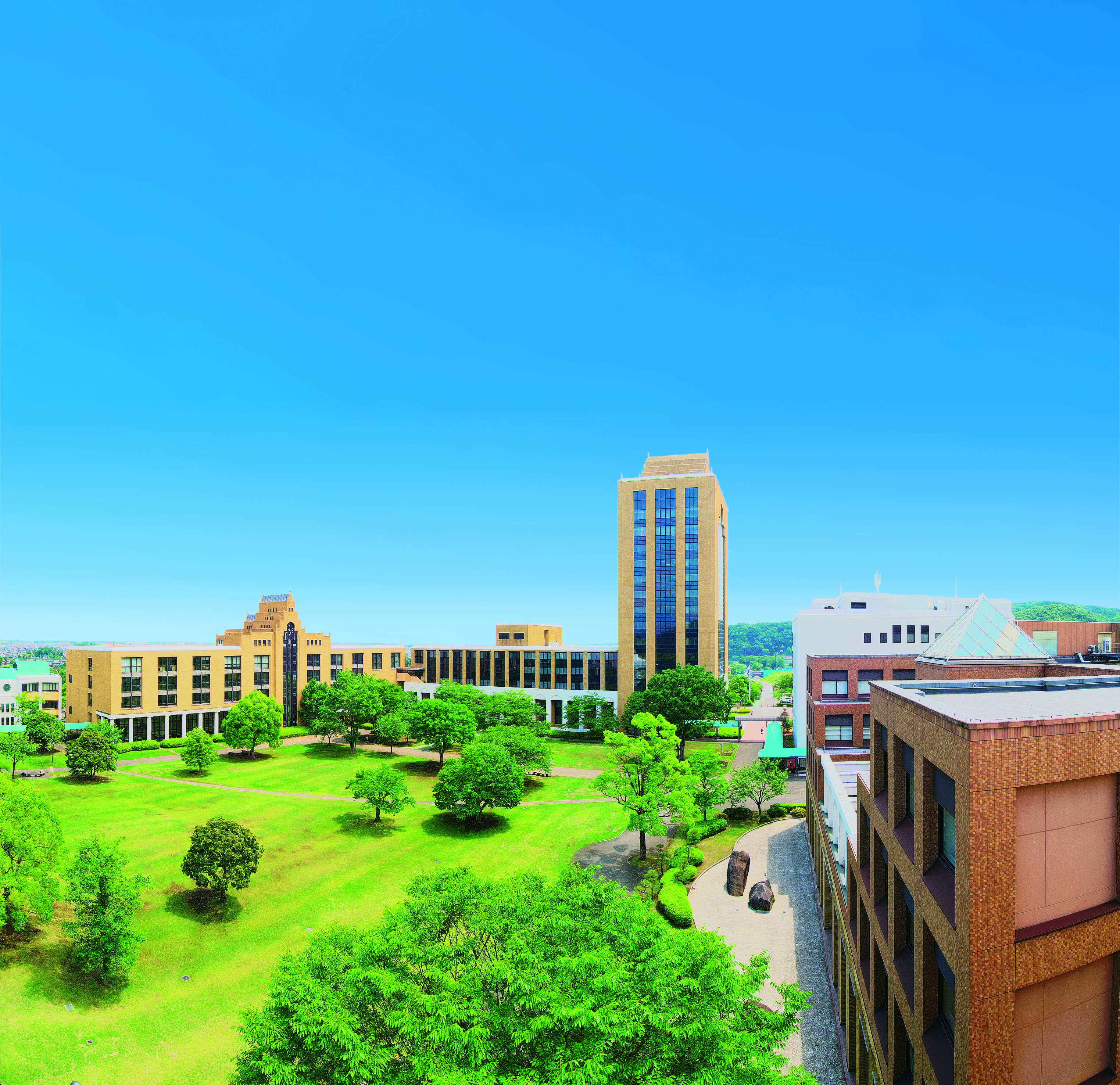 駿河台大学