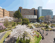 桜美林大学