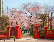 学習院女子大学