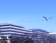 京都府立医科大学