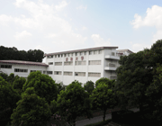 浦和大学