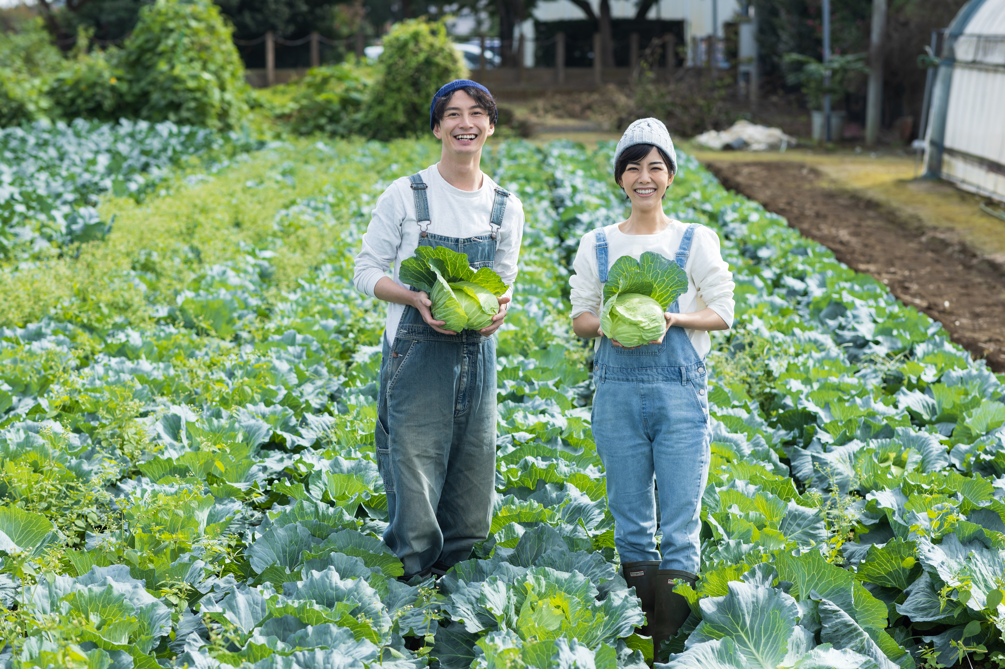 農家にはどのような種類がある?仕事のやりがいやおすすめの学部