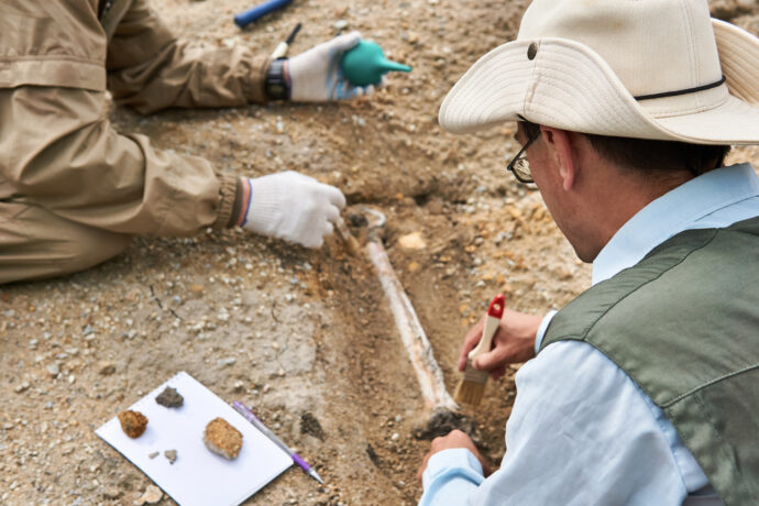 発掘作業中の考古学者