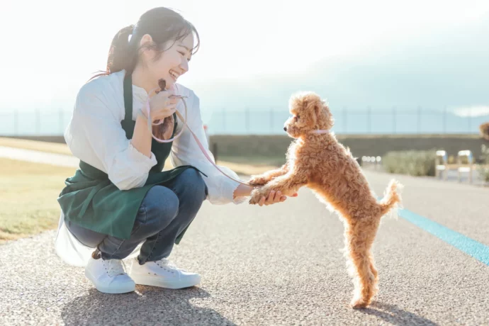 HSP気質の人に向いている仕事の例