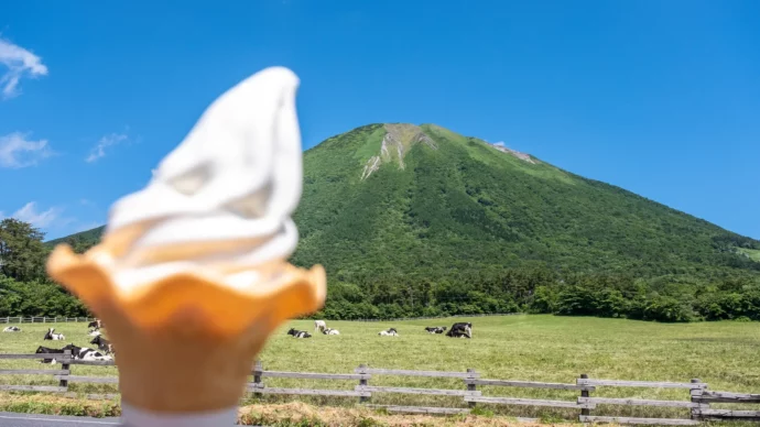 ソフトクリームが人気の酪農場