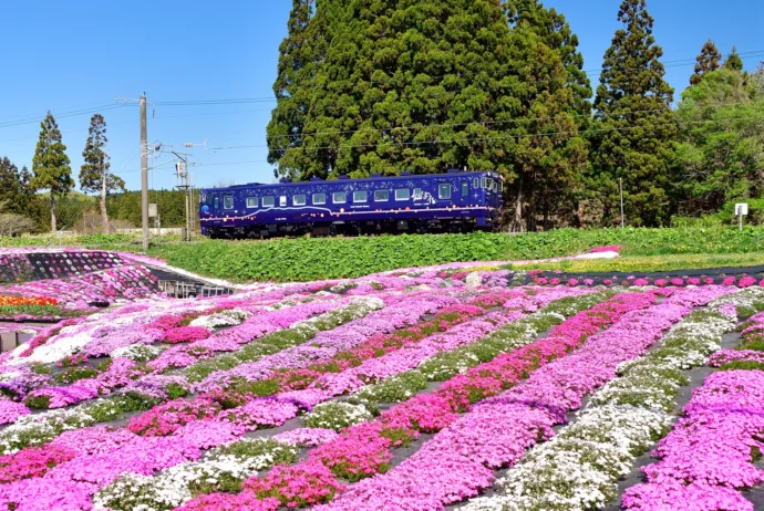 魅力的な鉄道